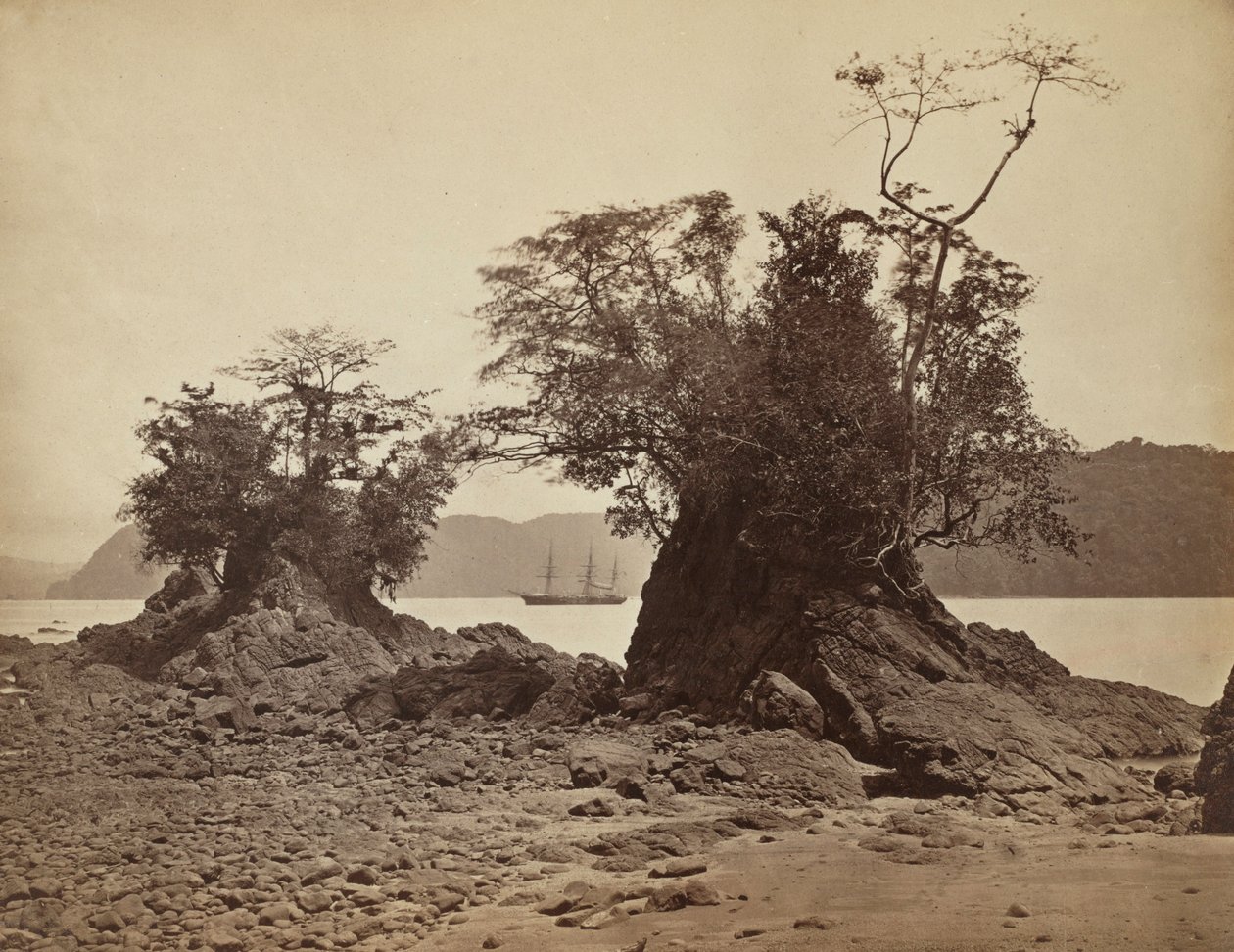 利蒙湾的岛屿，1871年。 作者 约翰·莫兰