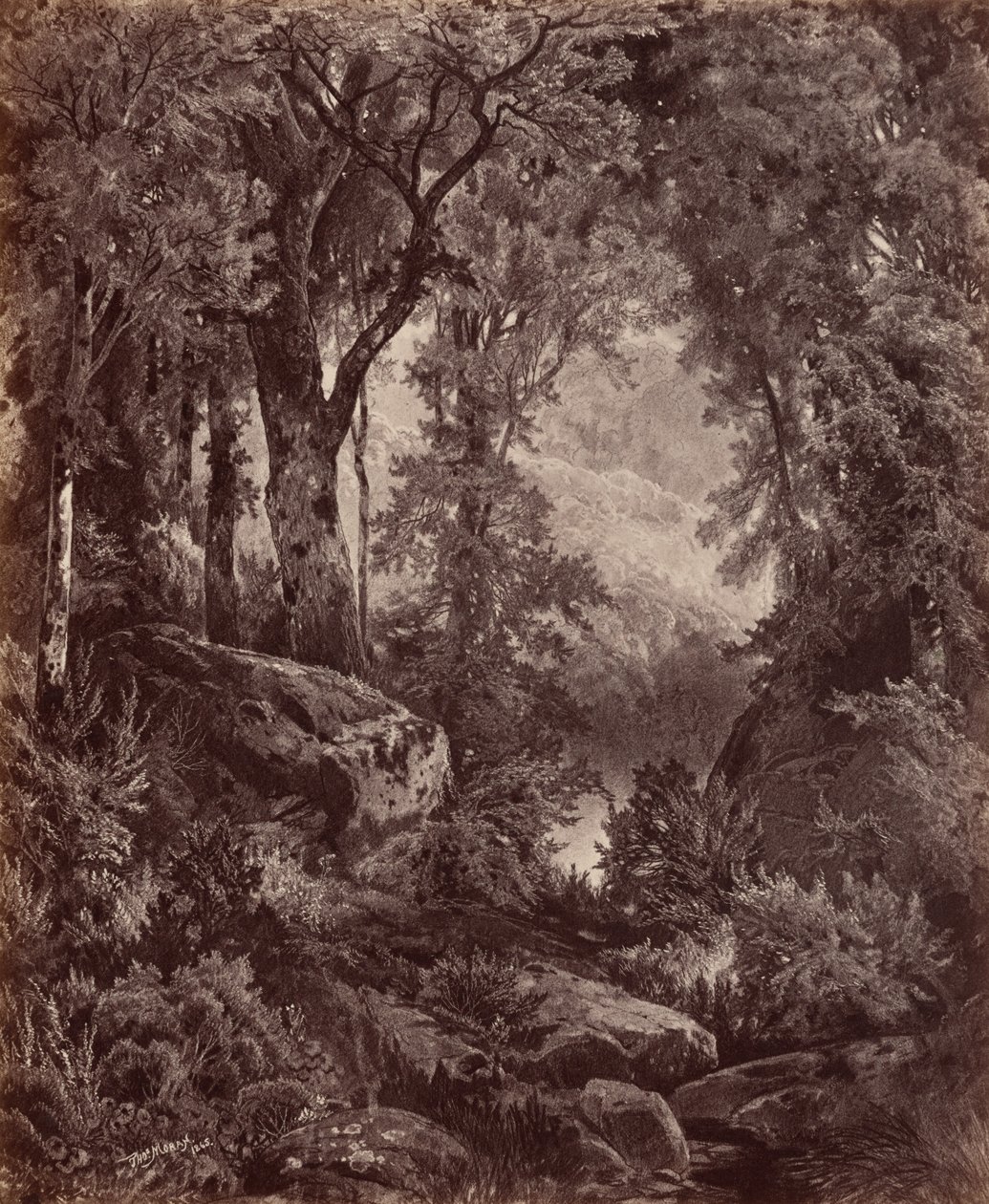 孤独，1865 年（照片） 作者 约翰·莫兰