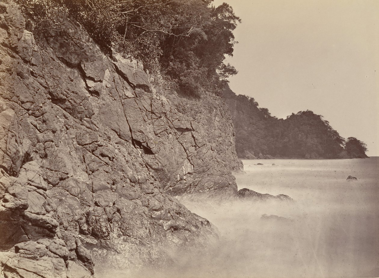 热带风光，悬崖--利蒙湾，1871年。 作者 约翰·莫兰