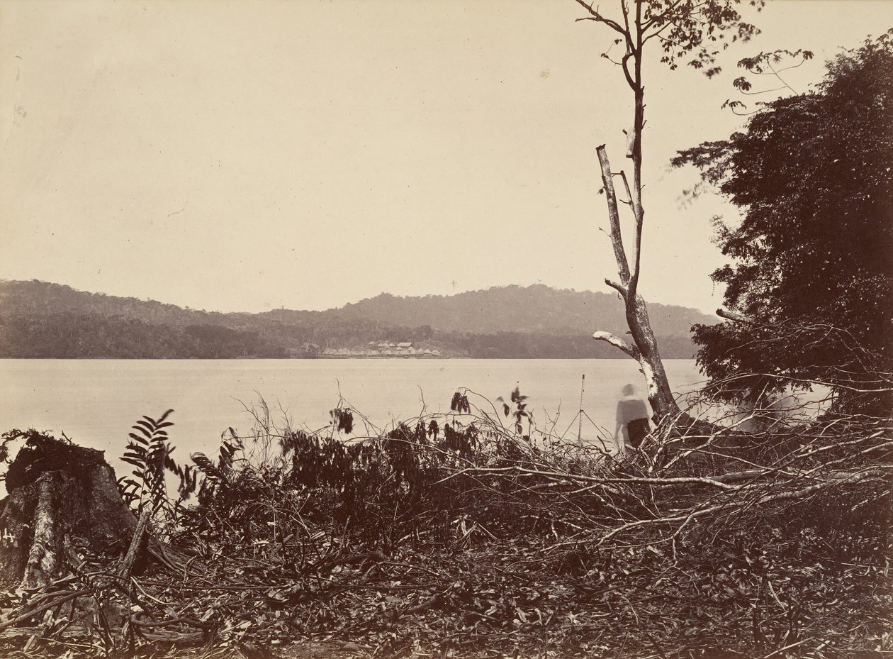 热带风光，达里安港，奇皮加纳，1871年。 作者 约翰·莫兰
