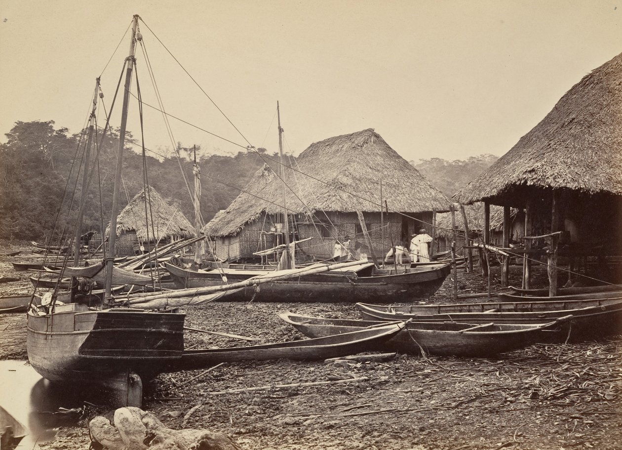 热带风光，登陆，Chipigana，1871年。 作者 约翰·莫兰