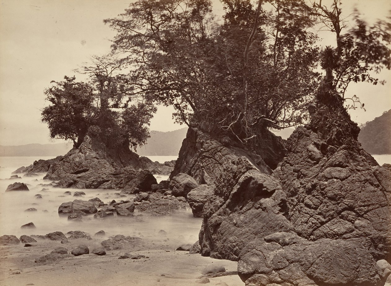 热带风光，利蒙湾--退潮，1871年。 作者 约翰·莫兰