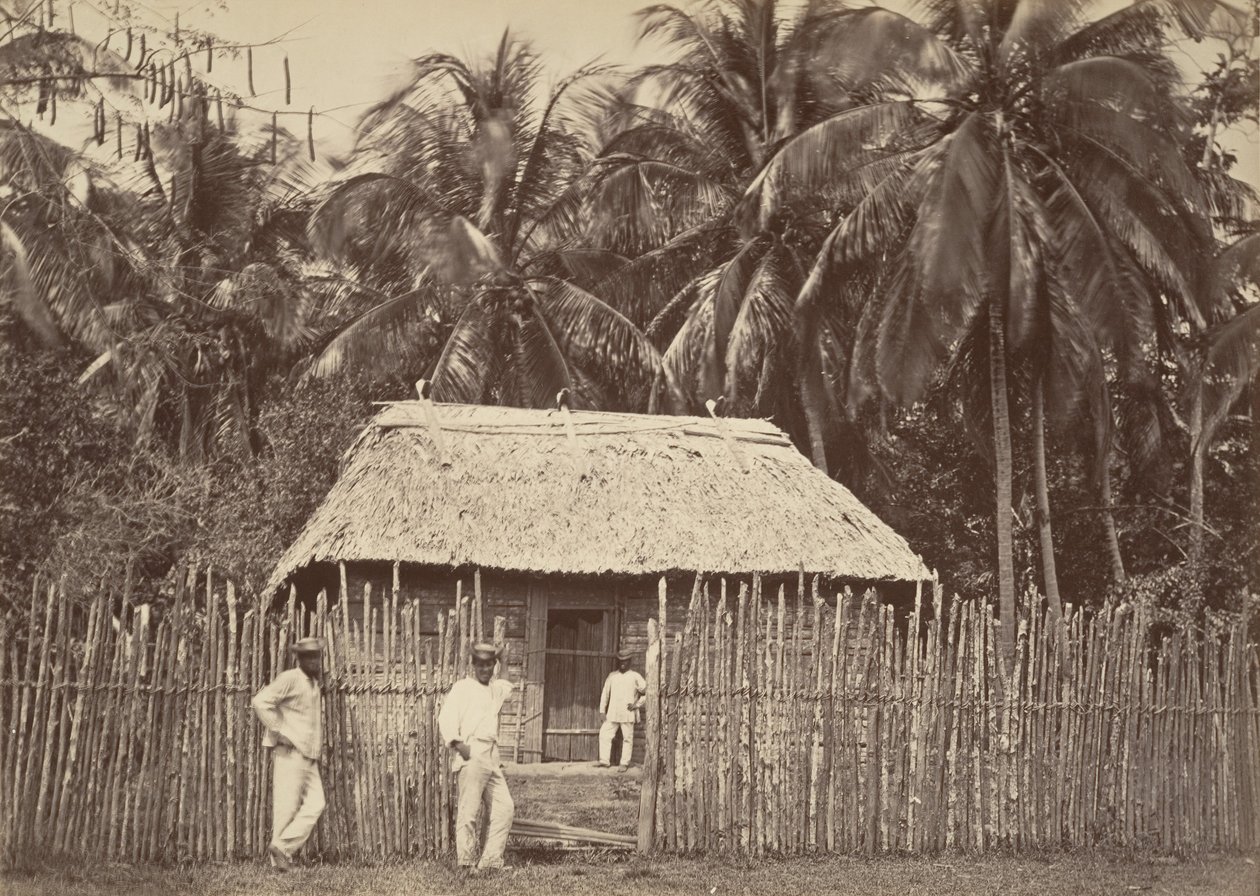 热带风光，本土小屋，特步，1871年。 作者 约翰·莫兰