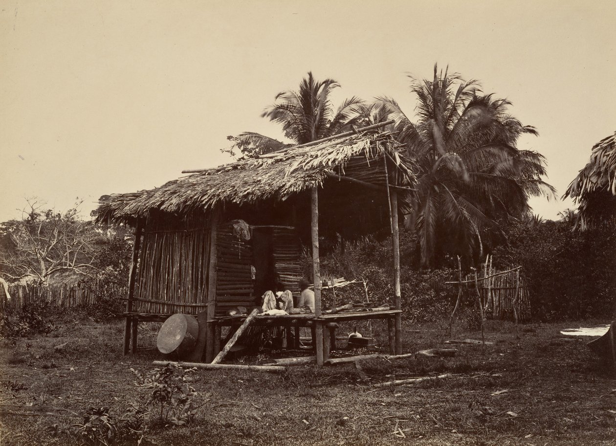 热带风光，本土小屋，特步，1871年。 作者 约翰·莫兰