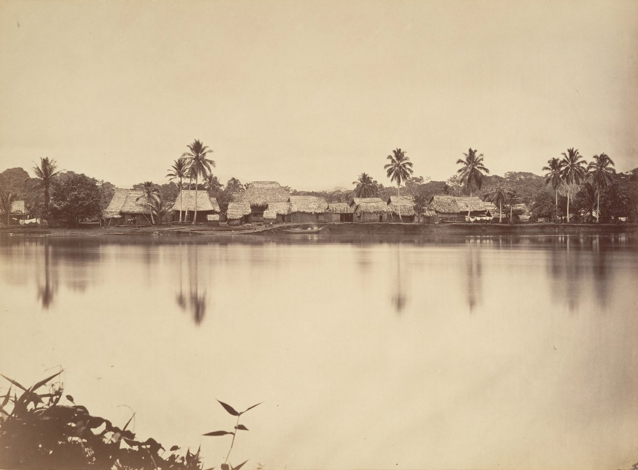 热带风光，圣玛丽亚-德尔-雷阿尔，达里安，1871年。 作者 约翰·莫兰