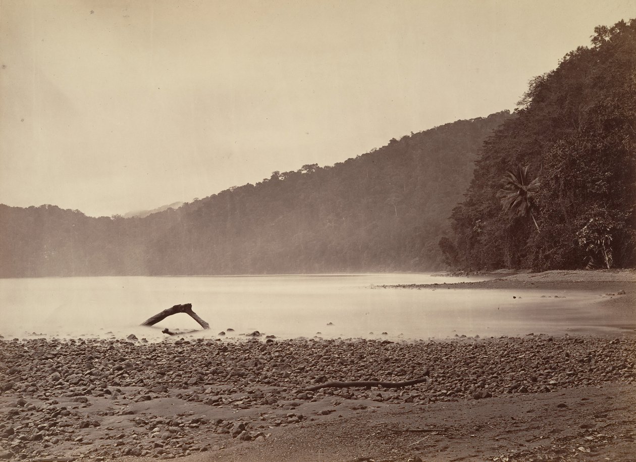 热带风光，拟建运河的终点站，利蒙湾，1871年。 作者 约翰·莫兰