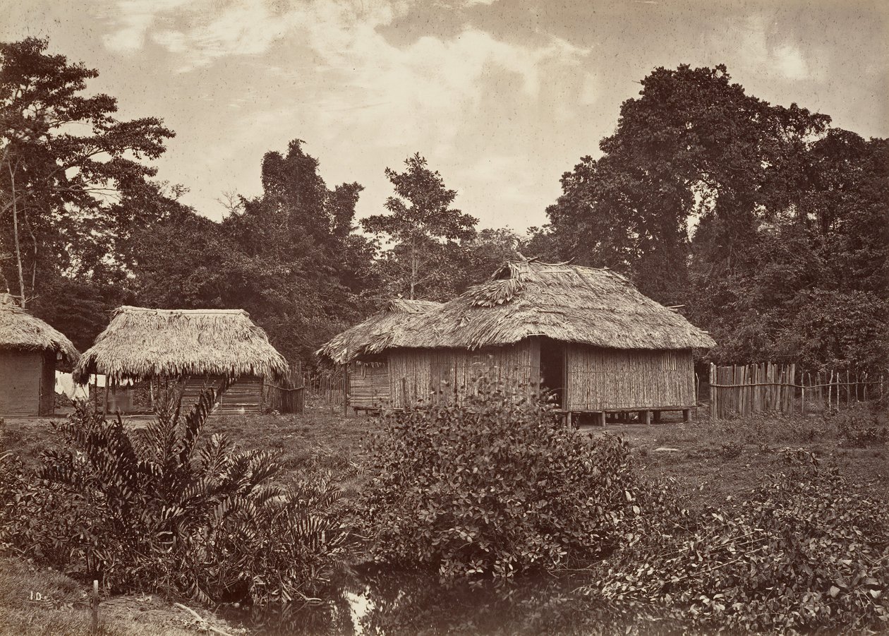 热带风光，图尔沃村，1871年。 作者 约翰·莫兰