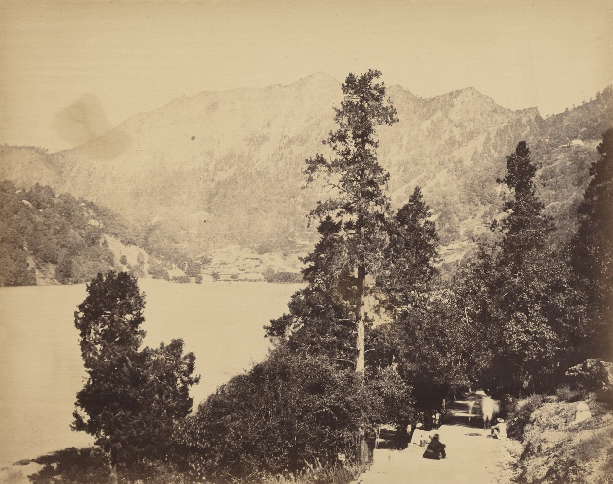 来自南区的妮妮-塔尔（Nynee Tall），约 1858-1862 年（照片）。1858-1862 年（照片） 作者 约翰·默里