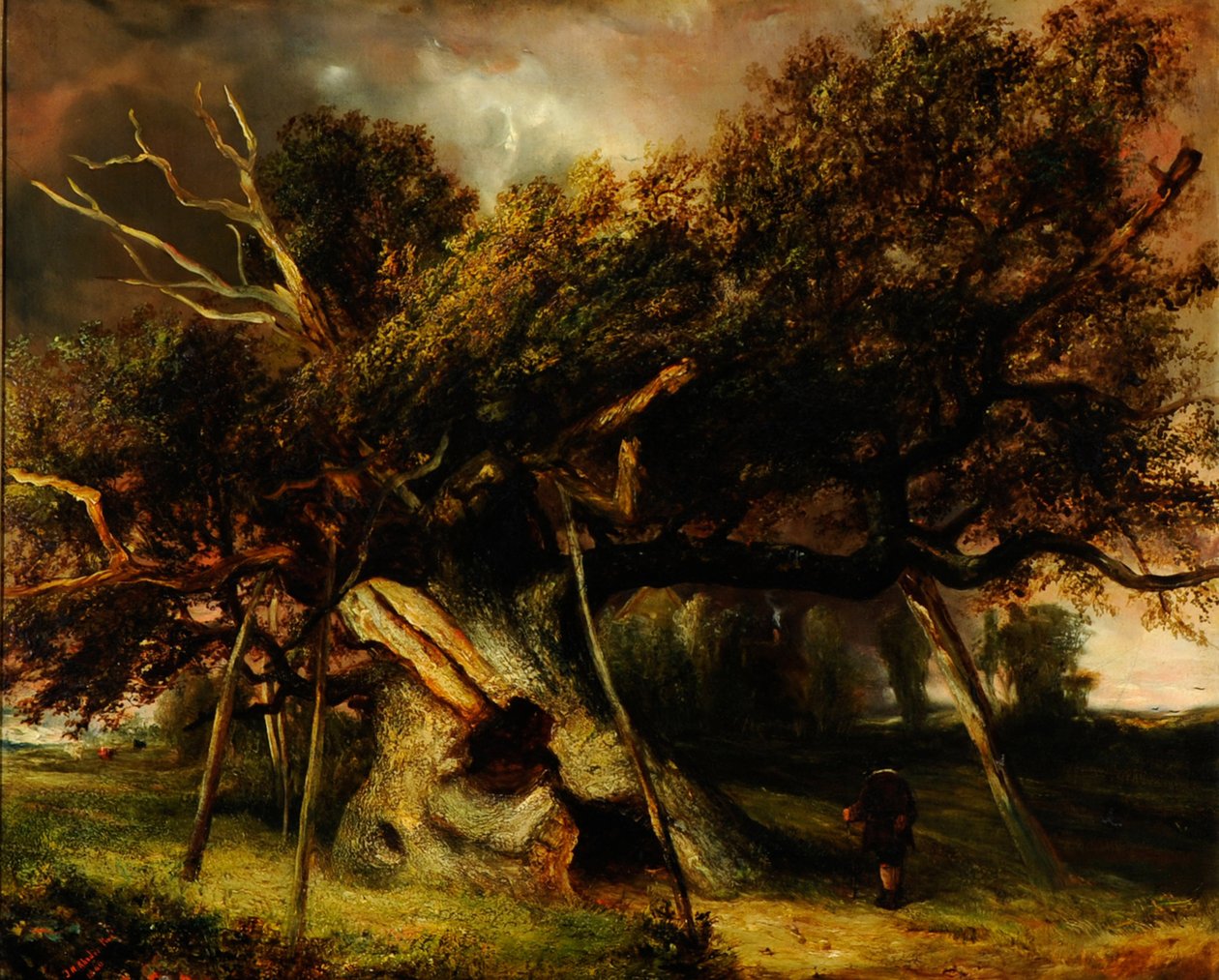 The Cowthorpe Oak 作者 约翰·尼古拉斯·罗兹（John Nicholas Rhodes）