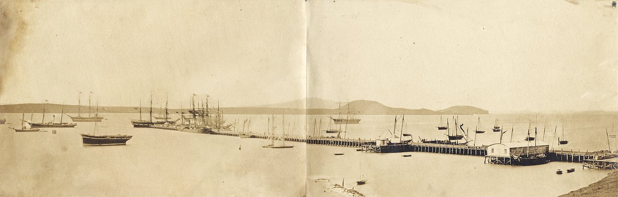 奥克兰港，1865年（蛋白印刷品） 作者 约翰·尼科尔·克朗比