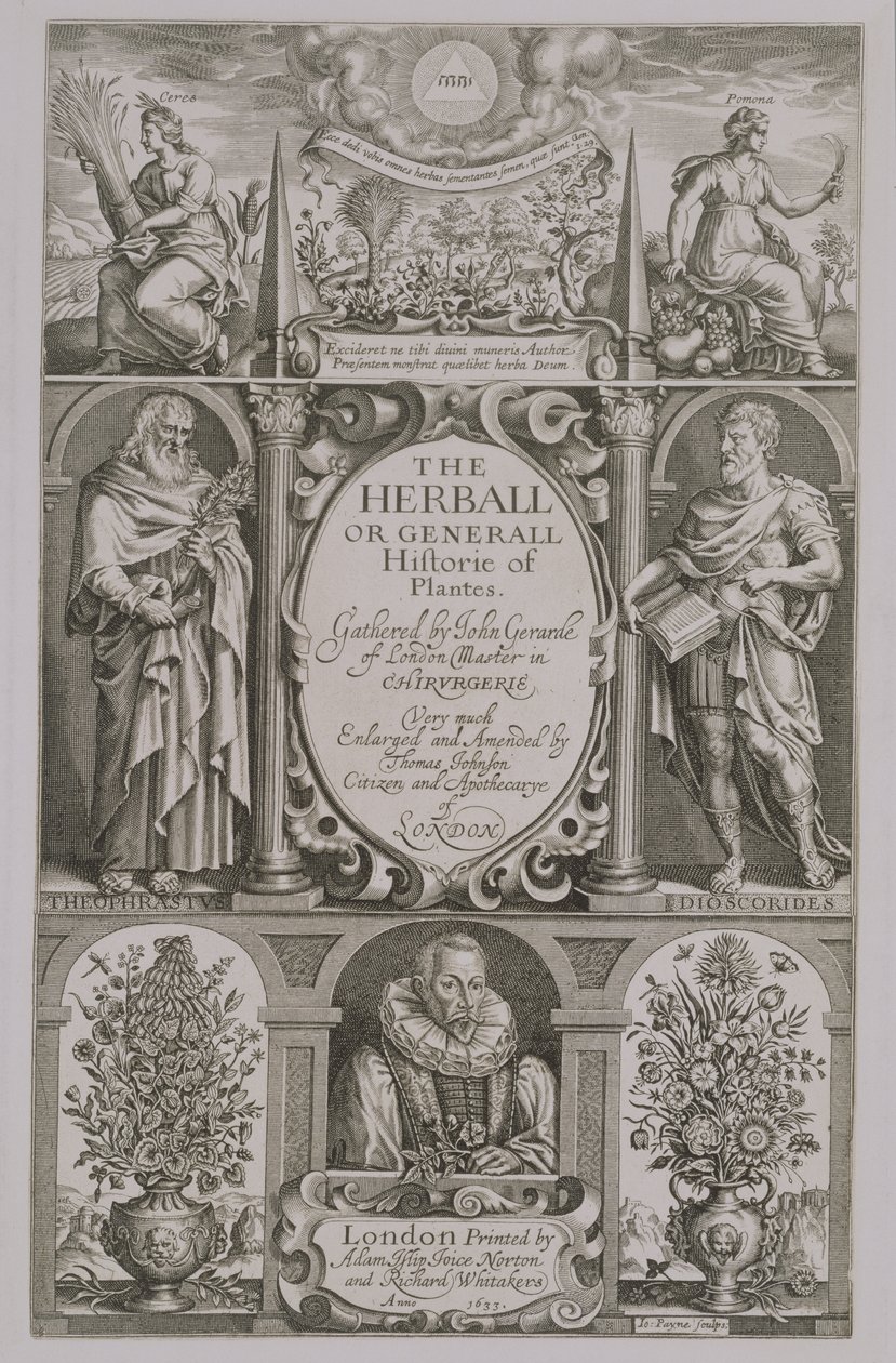 John Gerard（1564-1612）1633第二版The Herball的标题页 作者 约翰·佩恩