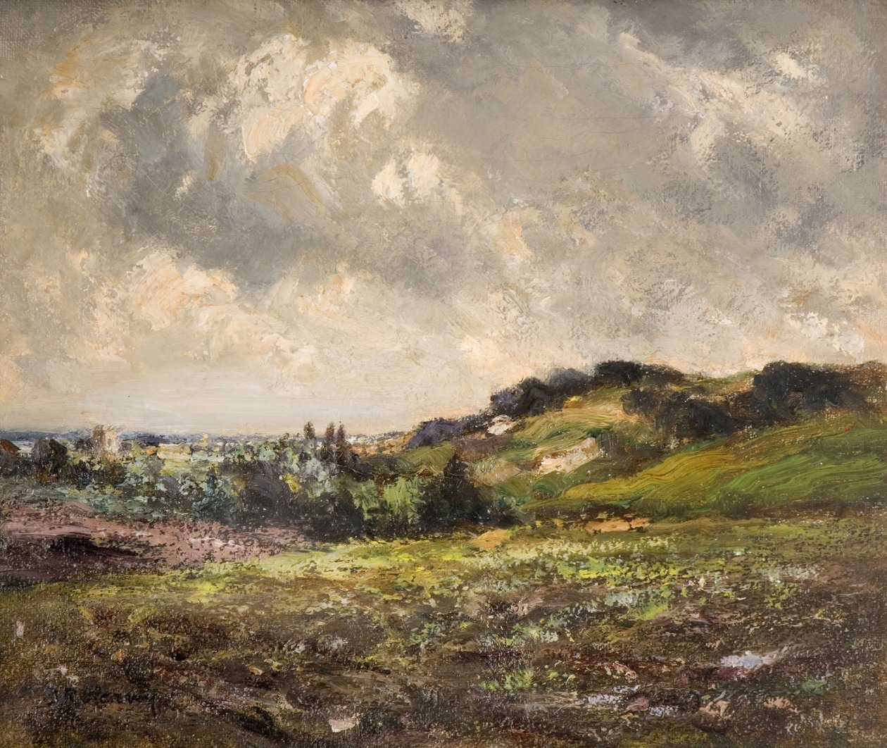 风云山庄，1880-1930。 作者 约翰·拉本·哈维