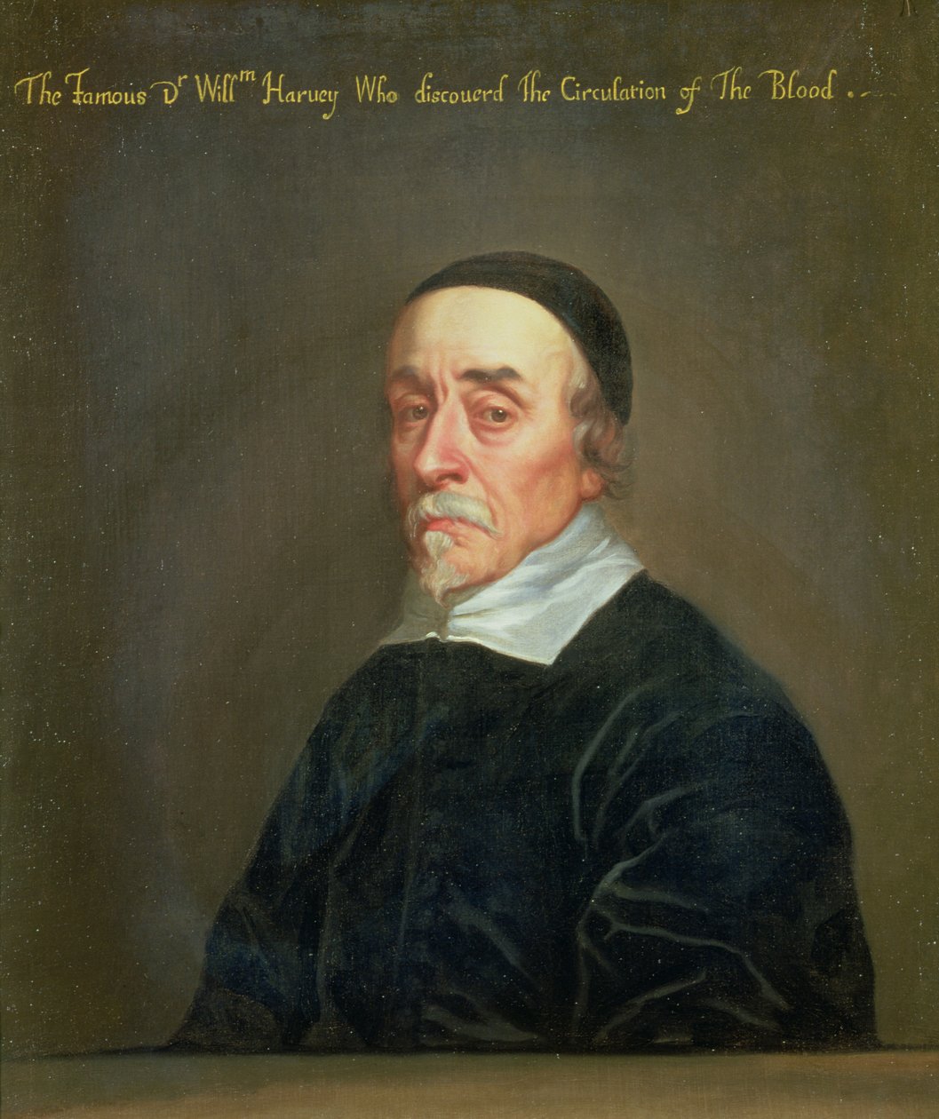 William Harvey的肖像（1578-1657） 作者 约翰·赖利