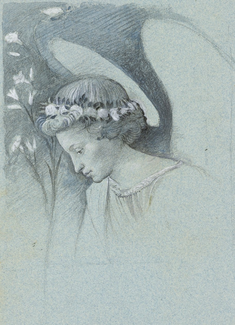 Study of the Head of the Angel Gabriel in Filippo Lippi