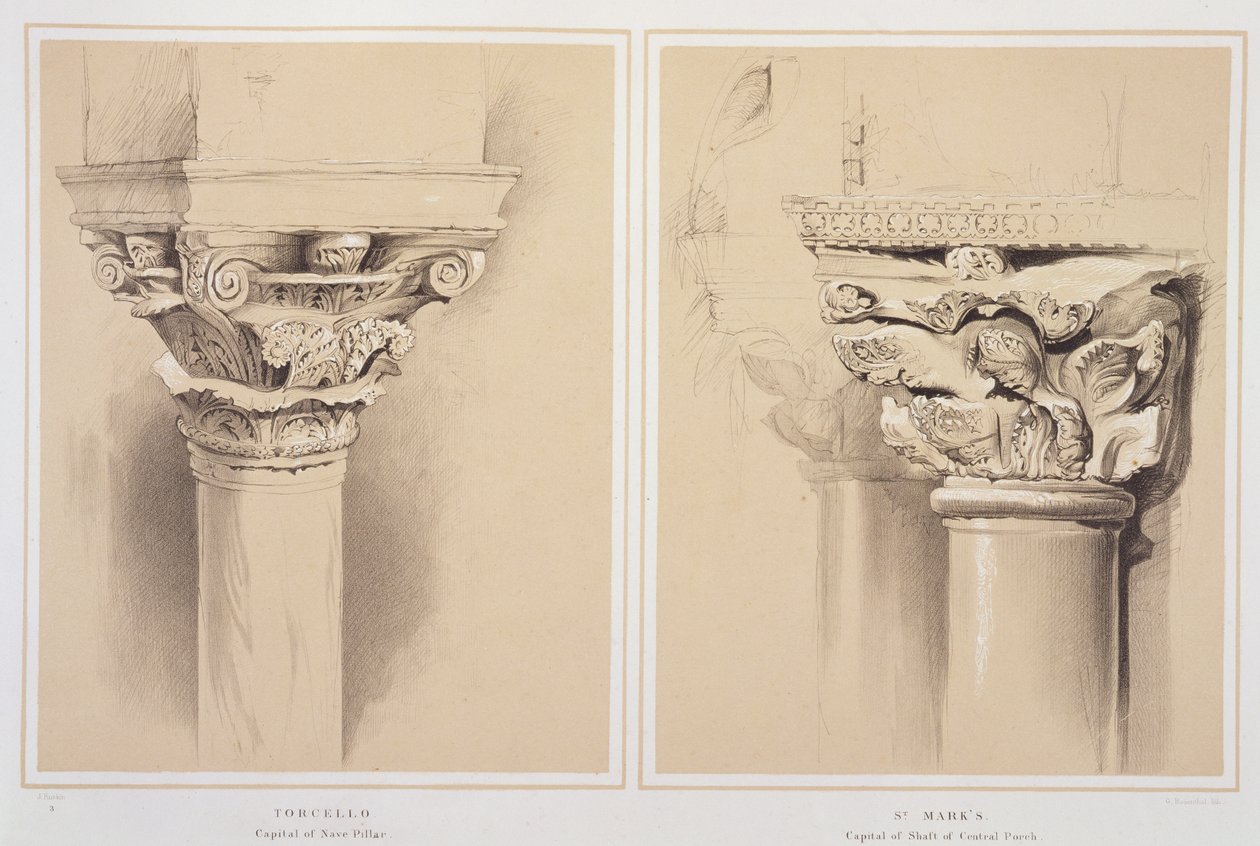 Torcello，Nave Pillar的首都和St. Mark&39;s，来自Central Porch的资本，来自John Ruskin的“威尼斯建筑的典范”，由G. Rosenthal雕刻，1851年 作者 约翰·拉斯金