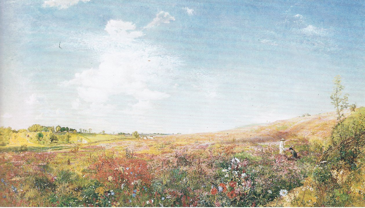 夏日风景 作者 约翰·塞缪尔·拉文