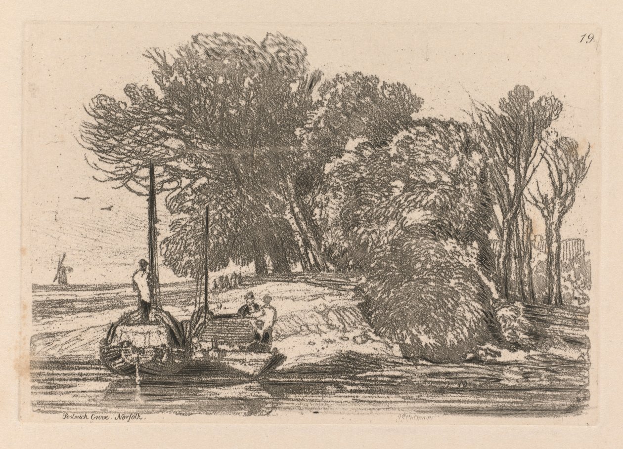 研究是免费的板19，Postwick树丛，诺福克，1838。 作者 约翰·塞尔·科特曼