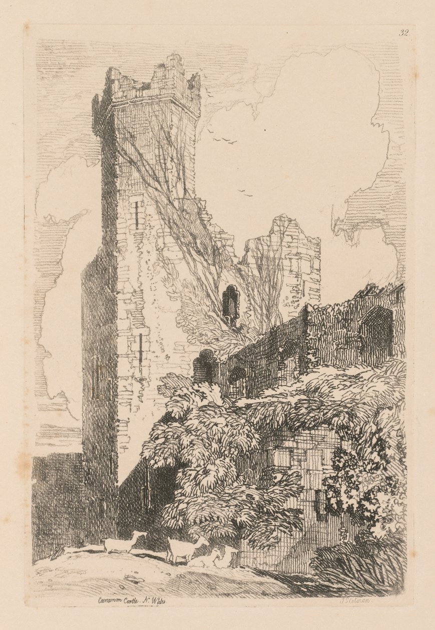 研究是免费的板32，卡那封城堡，威尔士N.，1838。 作者 约翰·塞尔·科特曼