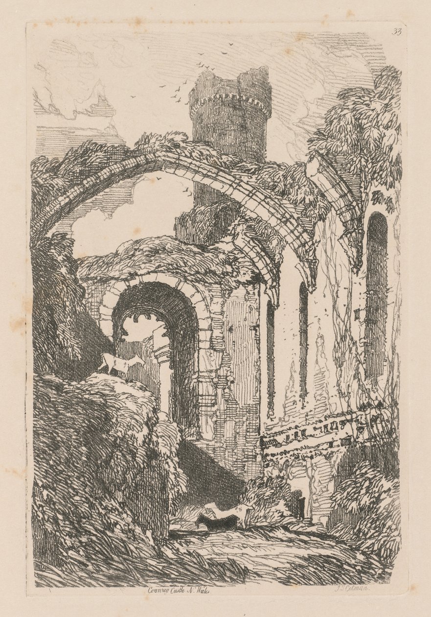 研究是免费的板33，康威城堡，威尔士N.，1838。 作者 约翰·塞尔·科特曼