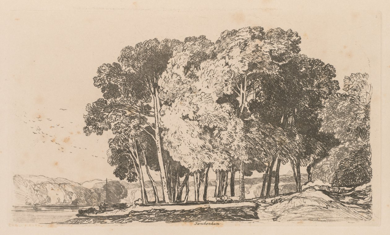 研究自由板3种附近树木特威克纳姆，1838。 作者 约翰·塞尔·科特曼
