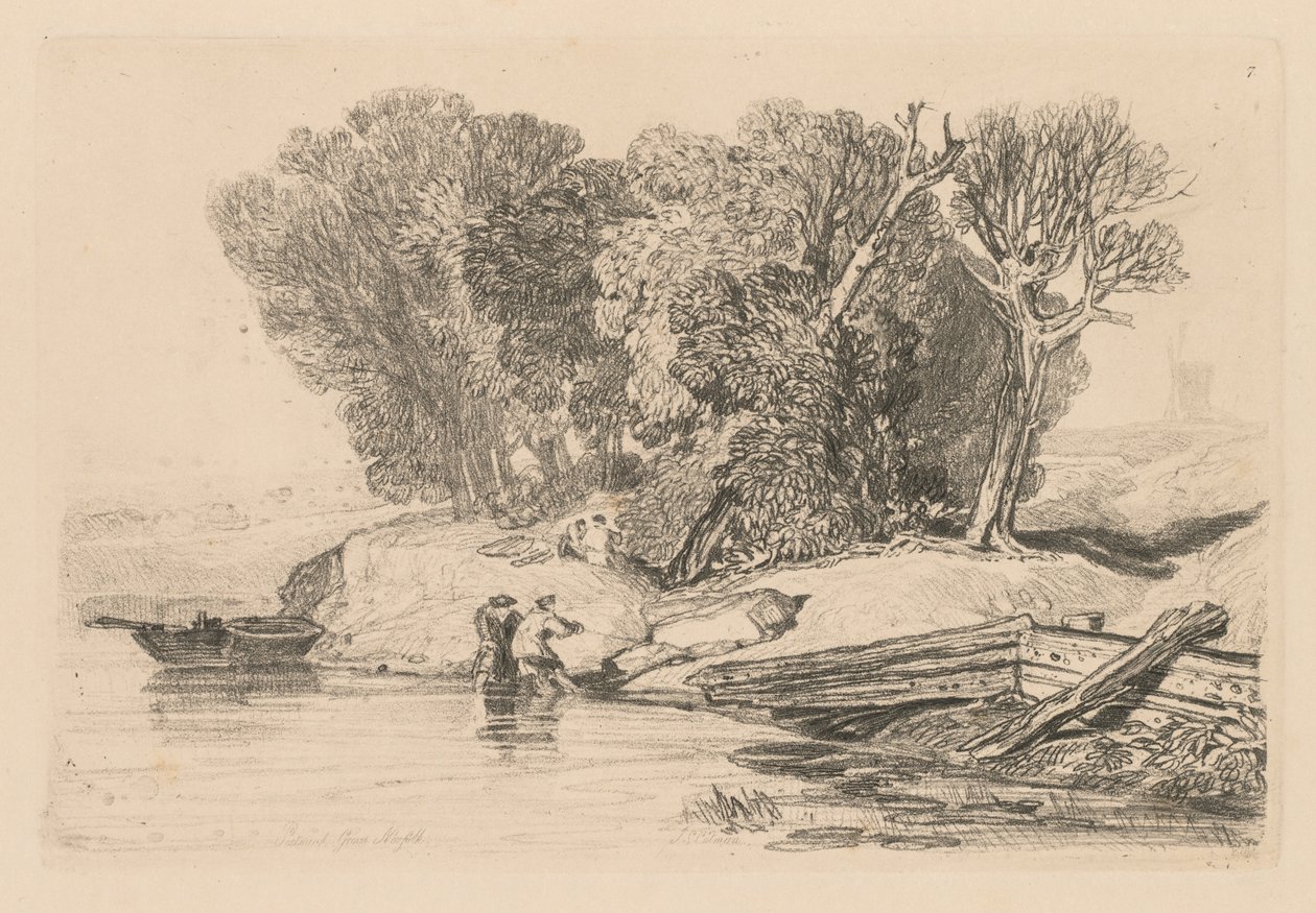 研究是免费的板7，Postwick树丛，诺福克，1838。 作者 约翰·塞尔·科特曼