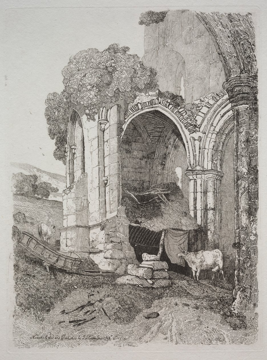 Rievaulx修道院，约克郡，1810年。 作者 约翰·塞尔·科特曼