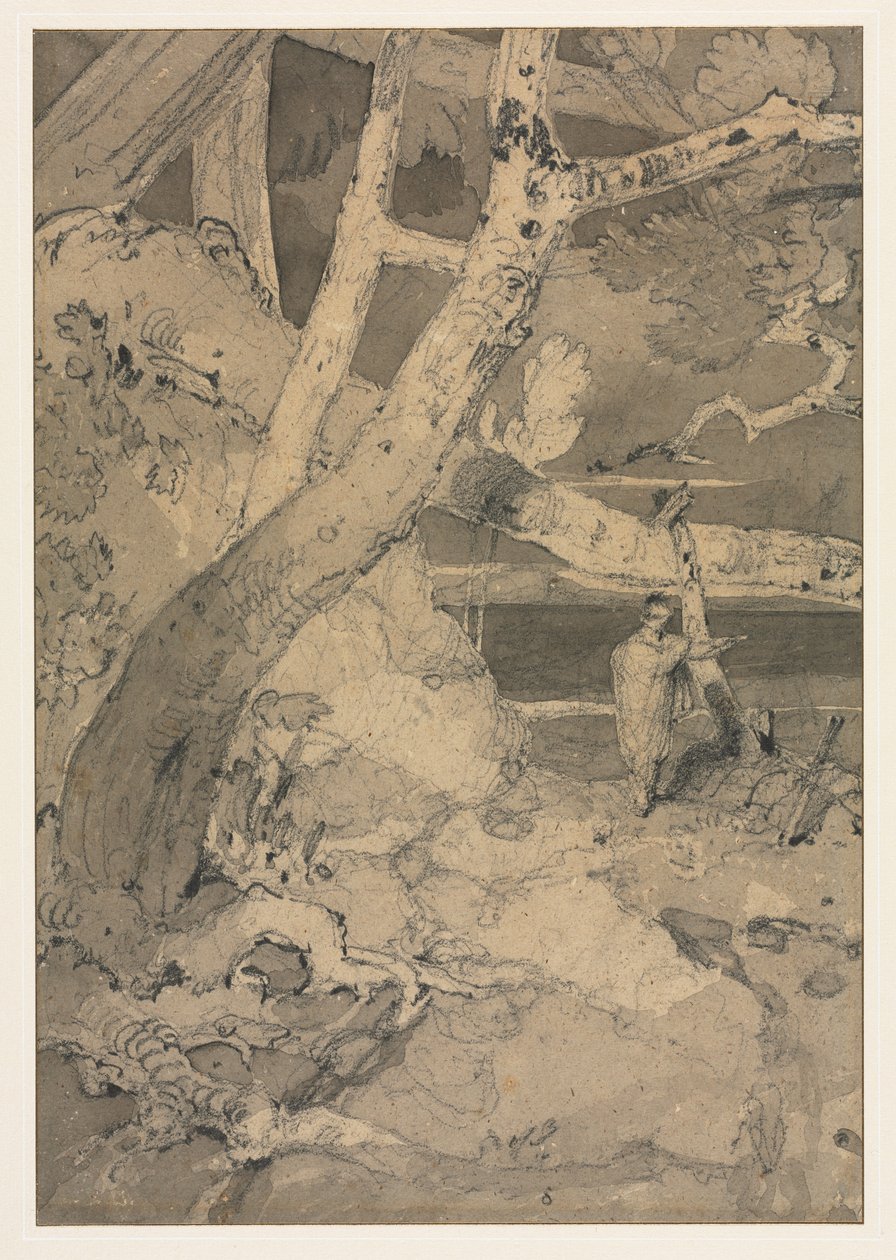 林地景观旅行者，1806年。 作者 约翰·塞尔·科特曼