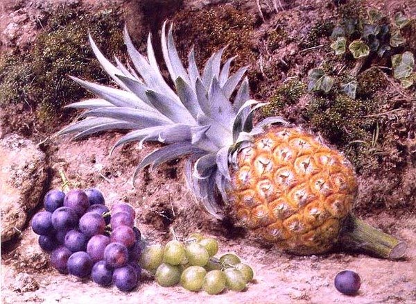 长满青苔的堤岸上的菠萝和成串的葡萄 作者 约翰·舍林