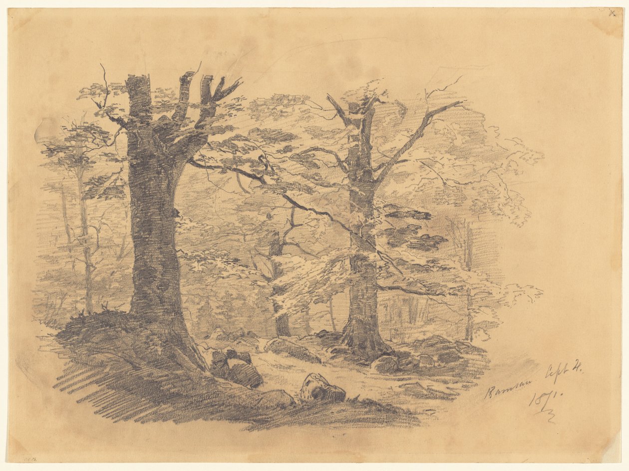 森林，德国拉姆绍，1871年。 作者 约翰·辛格·萨金特