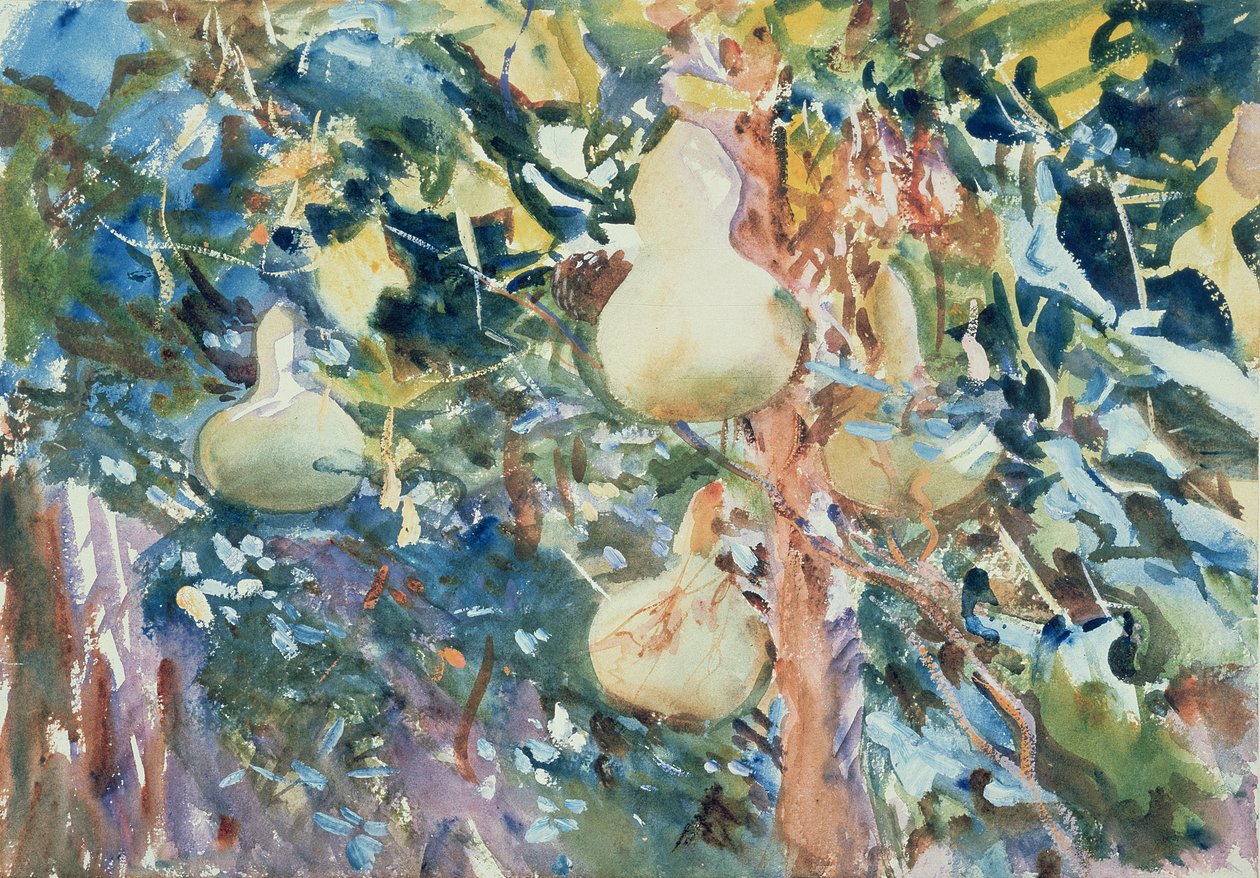 葫芦，c.1905（纸上写着） 作者 约翰·辛格·萨金特