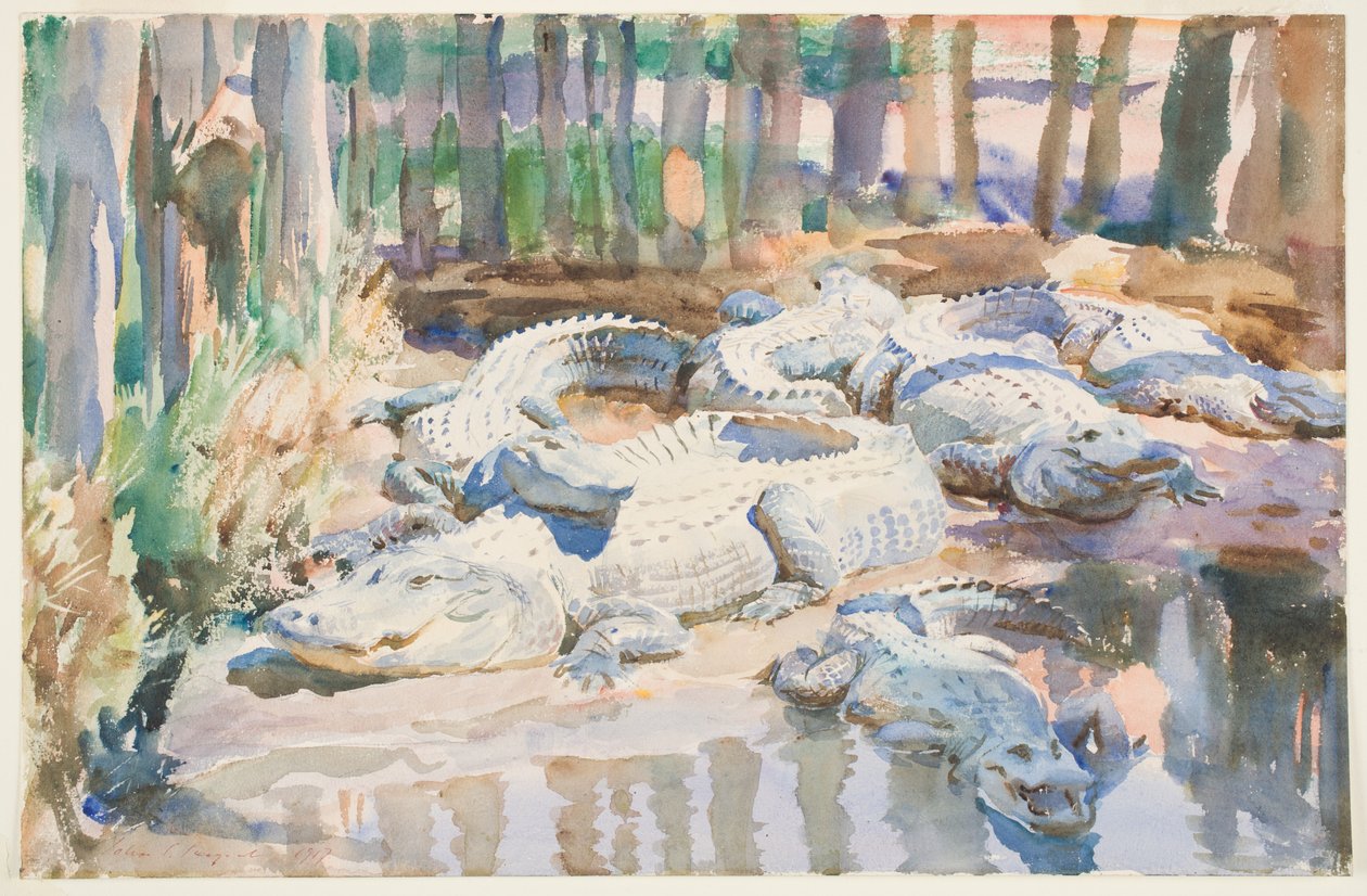 Muddy Alligators，1917年（纸上石墨） 作者 约翰·辛格·萨金特