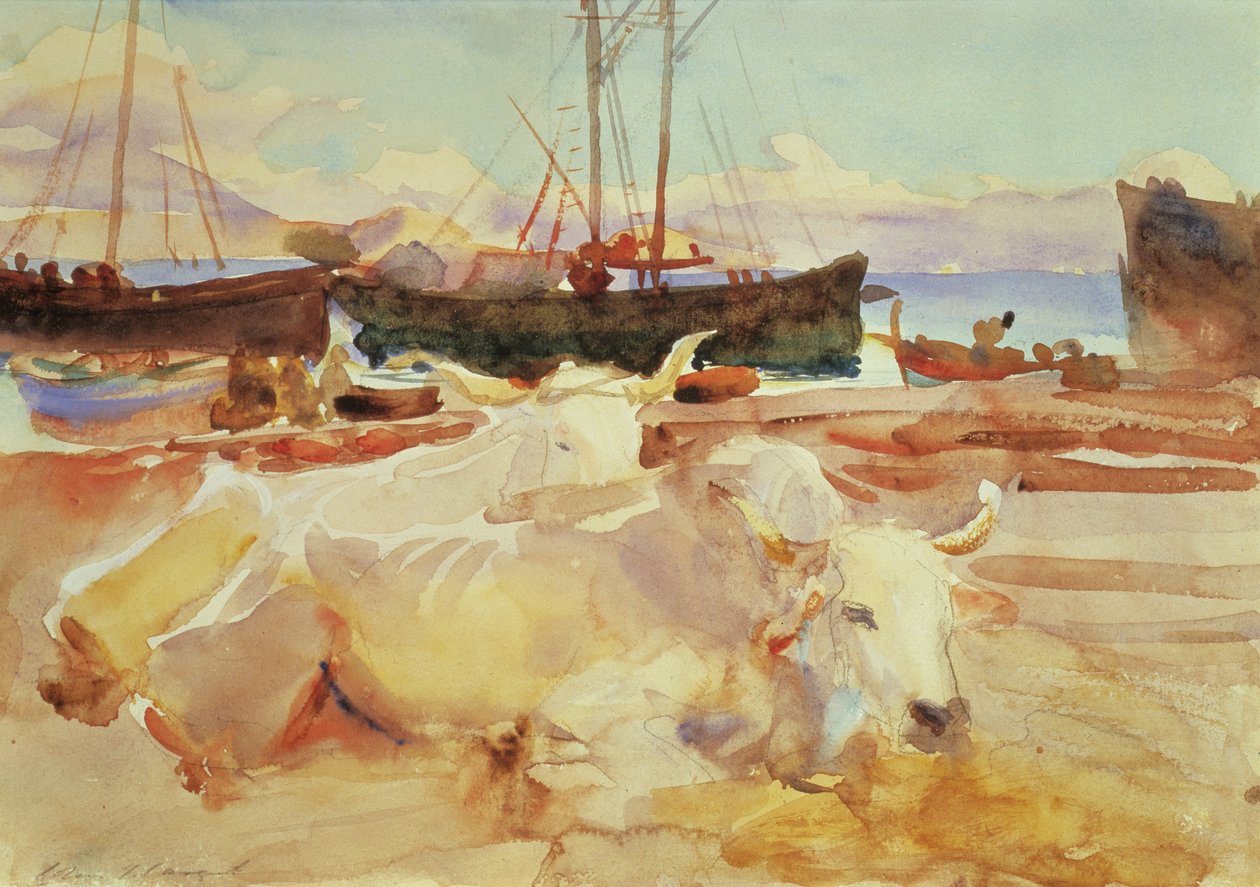 拜亚海滩上的黄牛，1908年（纸上写着） 作者 约翰·辛格·萨金特
