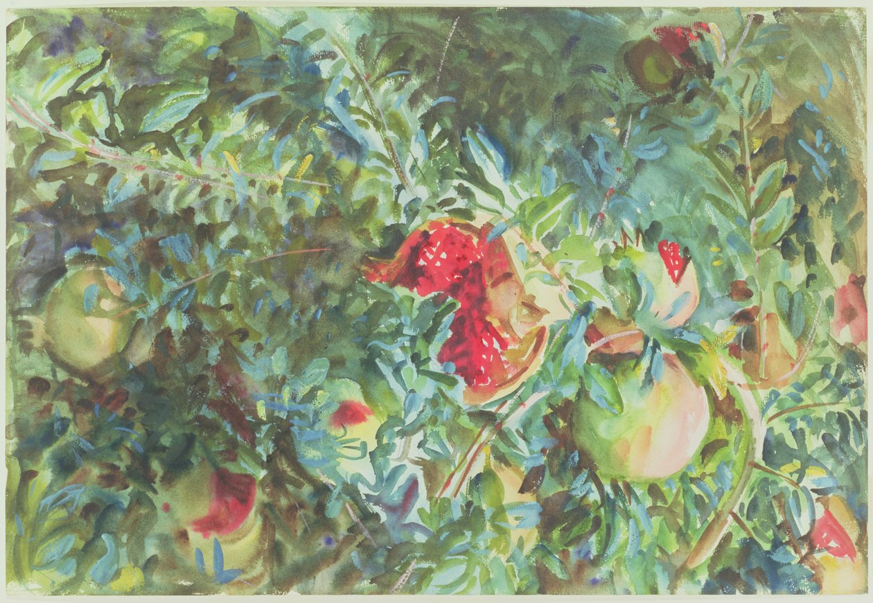 石榴，1908年（纸上铅笔） 作者 约翰·辛格·萨金特