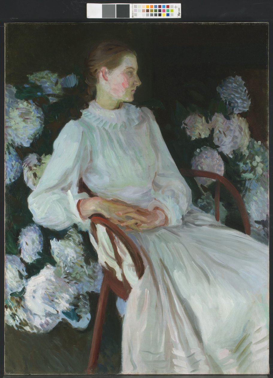 Katharine Chase Shapleigh的肖像（1875-1942） 作者 约翰·辛格·萨金特