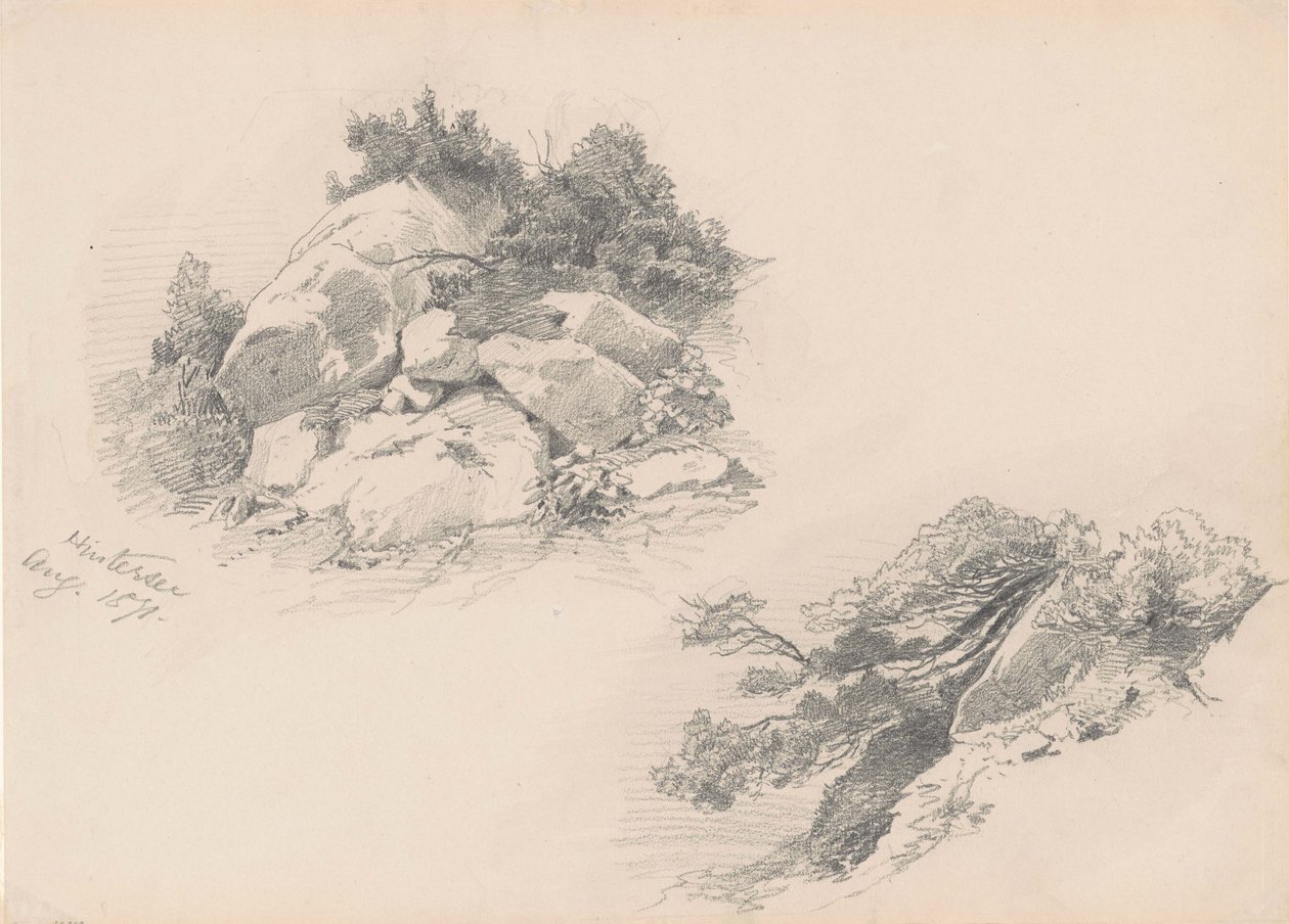 岩石和刷子，Hintersee，德国，1871年（石墨在wover纸上） 作者 约翰·辛格·萨金特