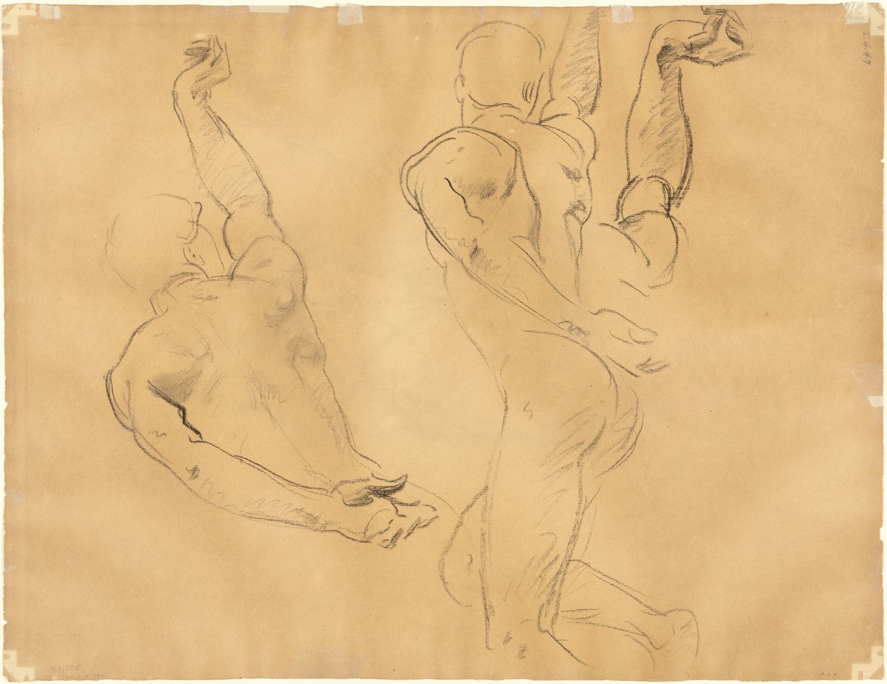男性裸体研究[背面]，1918-1919。 作者 约翰·辛格·萨金特