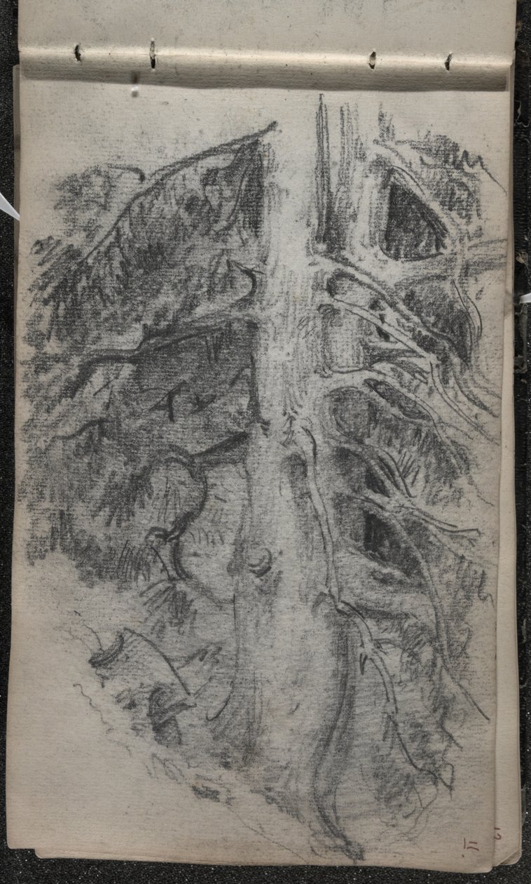 一棵树的研究，1871-72（石墨在黑白的编织纸上） 作者 约翰·辛格·萨金特