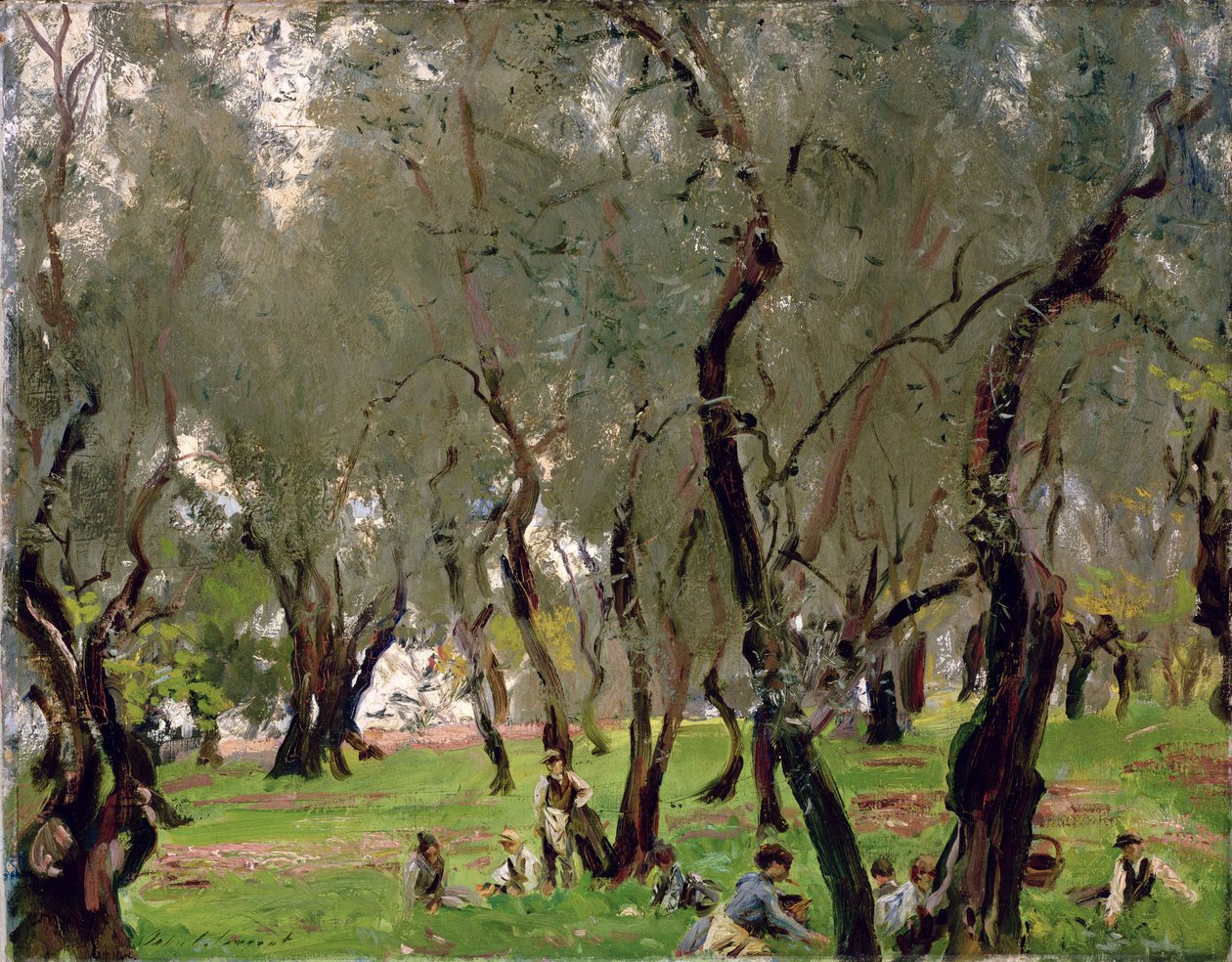 橄榄园，c.1910（布面油画） 作者 约翰·辛格·萨金特