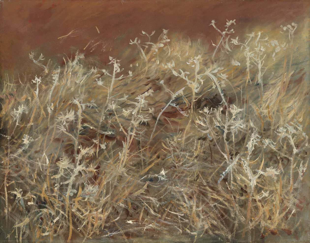 蓟（1885-89） 作者 约翰·辛格·萨金特