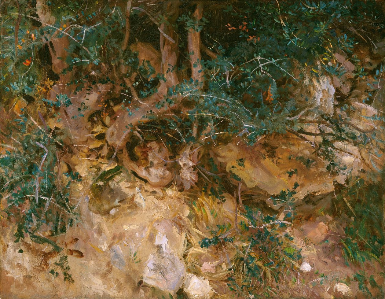 瓦尔德莫萨，马略卡岛：山坡上的蓟草和垃圾，1908年。 作者 约翰·辛格·萨金特