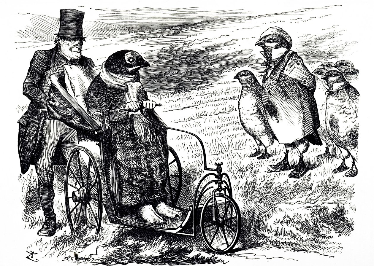 一幅评论暂停松鸡射击的漫画，以使鸡群得以重建。由John Tenniel（1820-1914）绘制，他是英国插画家、图形幽默家和政治漫画家。 作者 约翰·坦尼尔