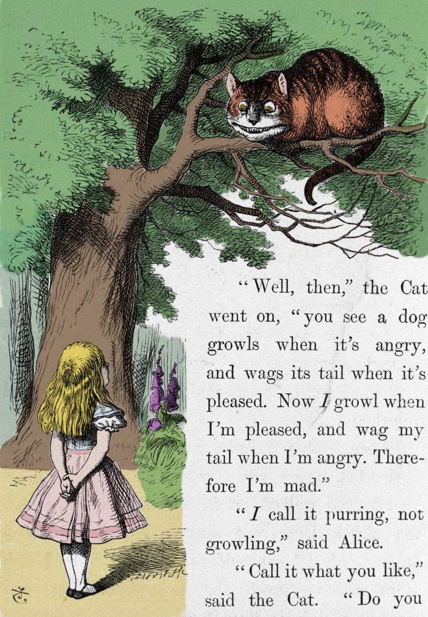 Alice and the Cat, illustration by Sir John Tenniel for the first edition of Alice in Wonderland by English writer Lewis Carroll (Charles Lutwidge Dodgson) (1832-1898). 作者 约翰·坦尼尔