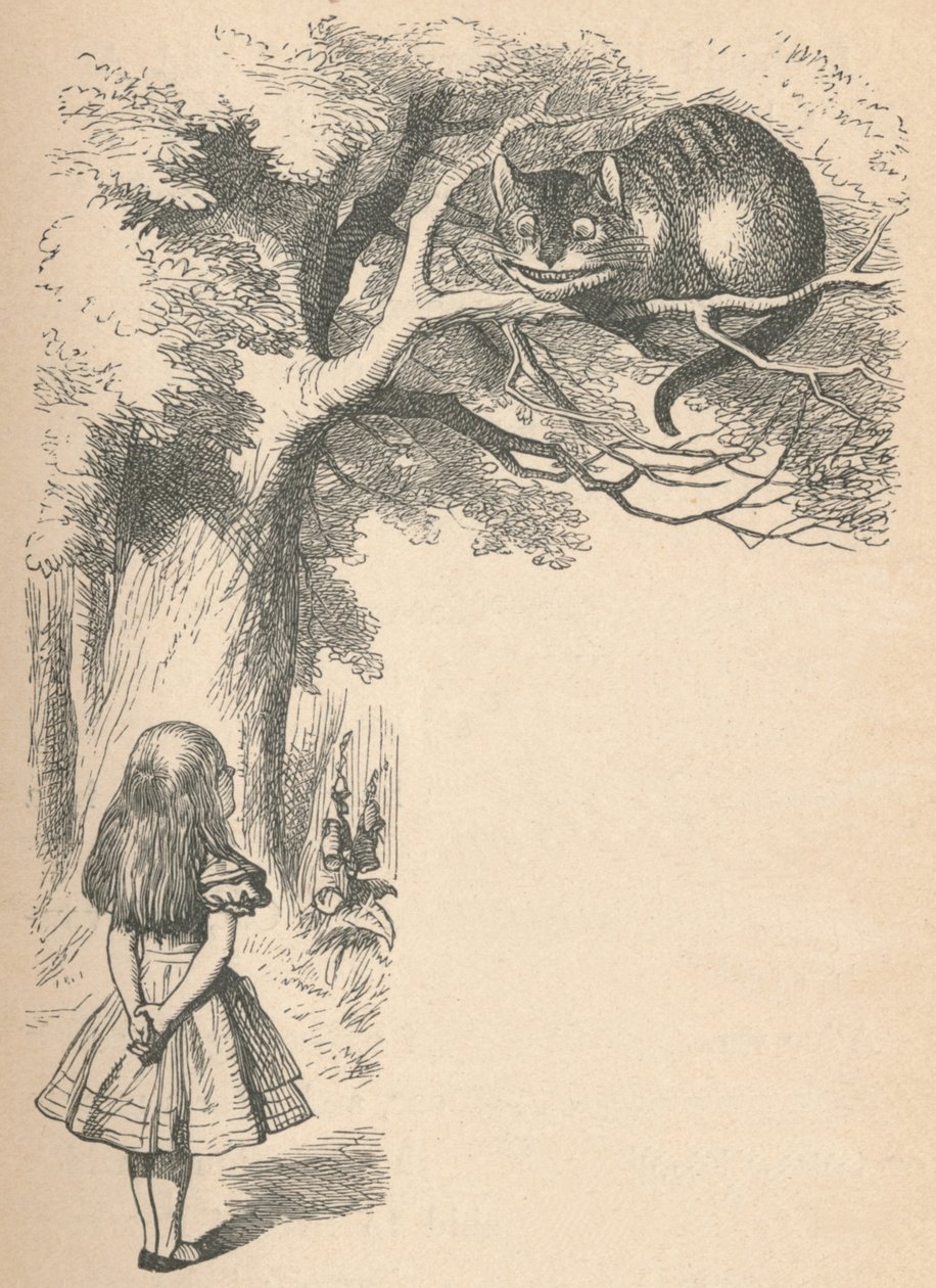 爱丽丝与柴郡猫，1889年 作者 约翰·坦尼尔