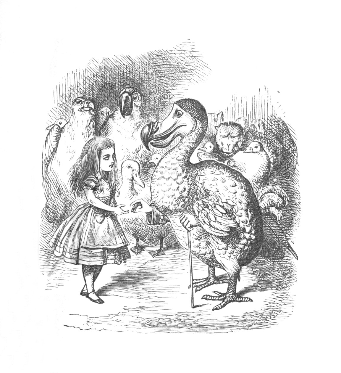 爱丽丝与渡渡鸟，1889年 作者 约翰·坦尼尔