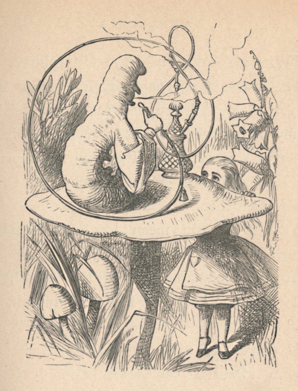 爱丽丝与毛毛虫，1889年 作者 约翰·坦尼尔
