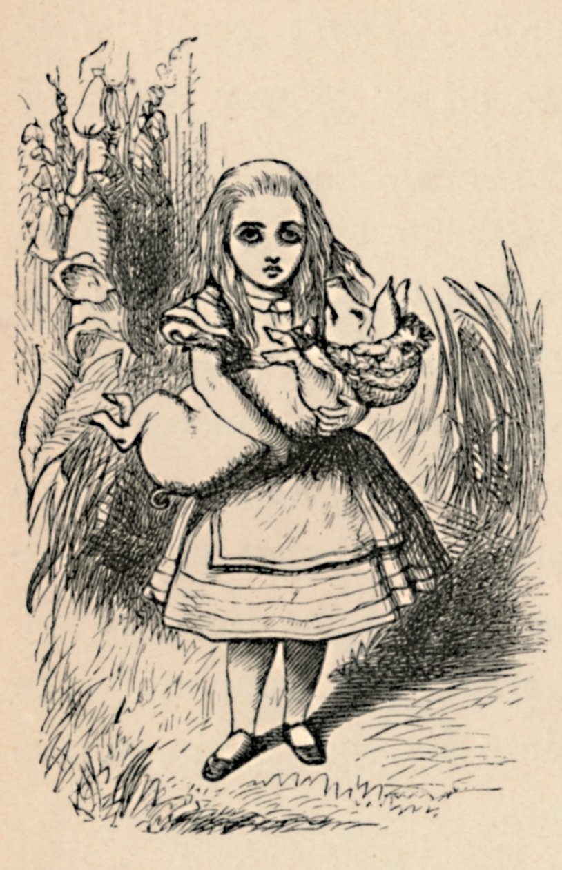 爱丽丝怀里抱着一只猪，1889年 作者 约翰·坦尼尔