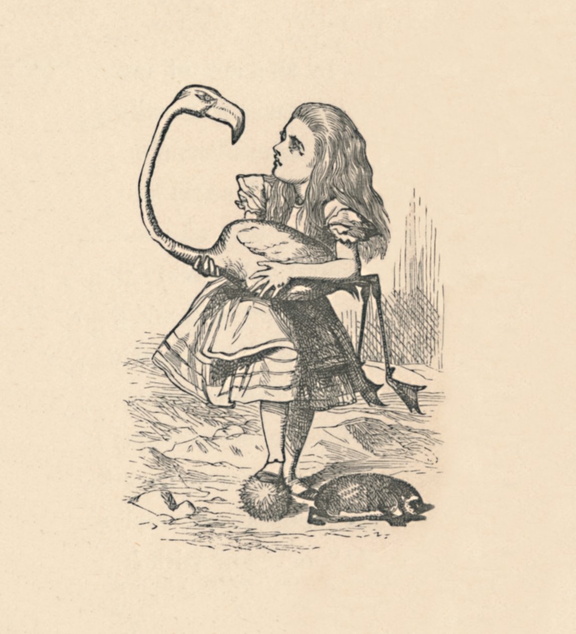 爱丽丝（Alice）尝试用火烈鸟当槌槌打槌球，1889年 作者 约翰·坦尼尔