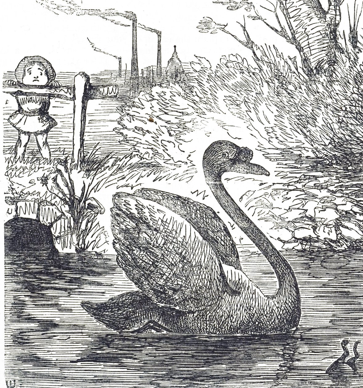 Cartoon commenting on the pollution of the Thames in London 作者 约翰·坦尼尔