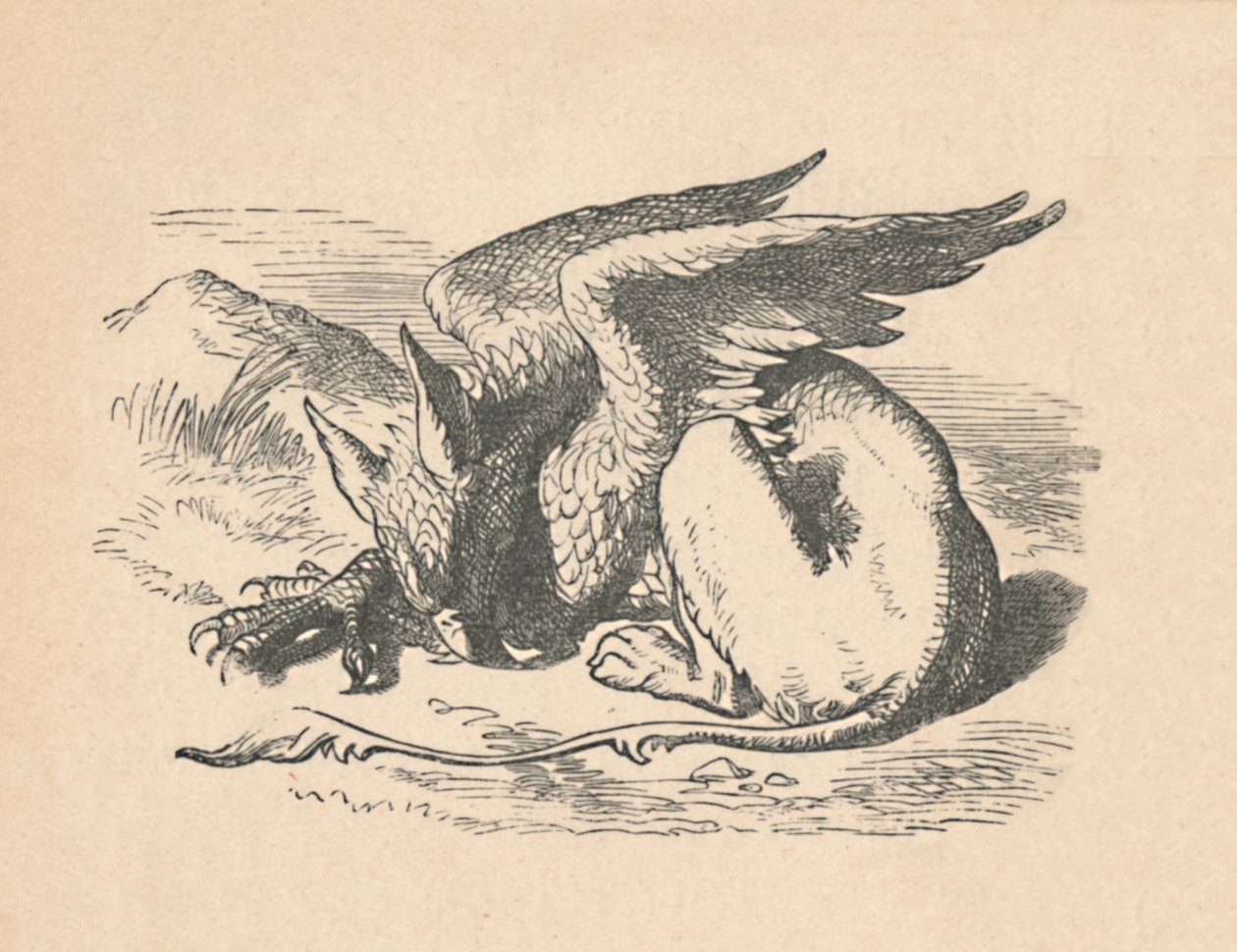 狮ry在阳光下熟睡，1889年 作者 约翰·坦尼尔