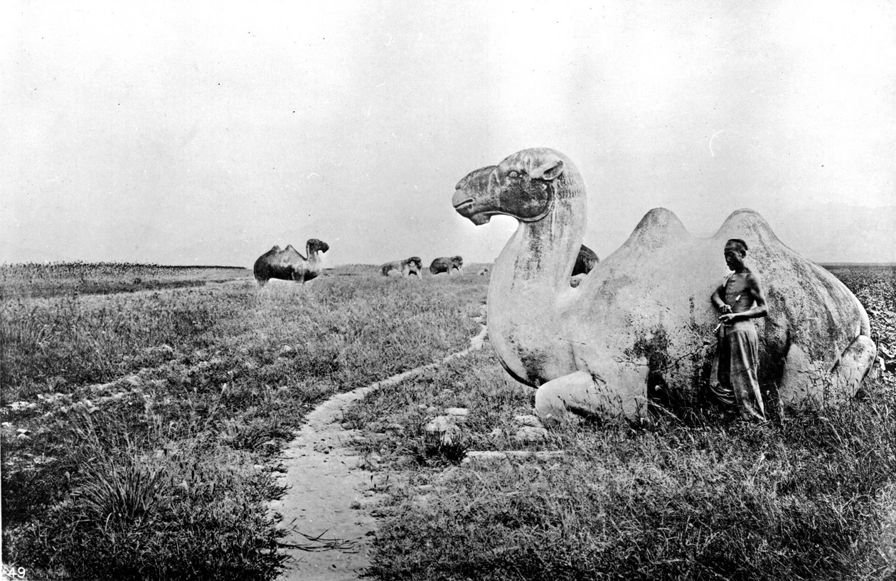 中国，雕刻的帝王之道的骆驼，约1870年（照片 作者 约翰汤姆森